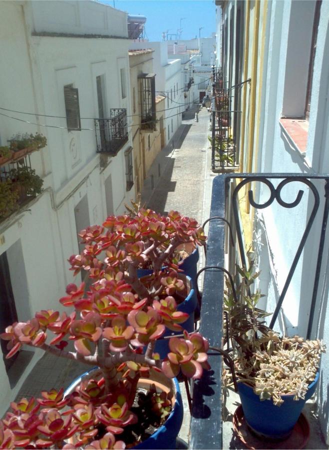 Apartment Acogedor Estudio En Casco Antiguo *