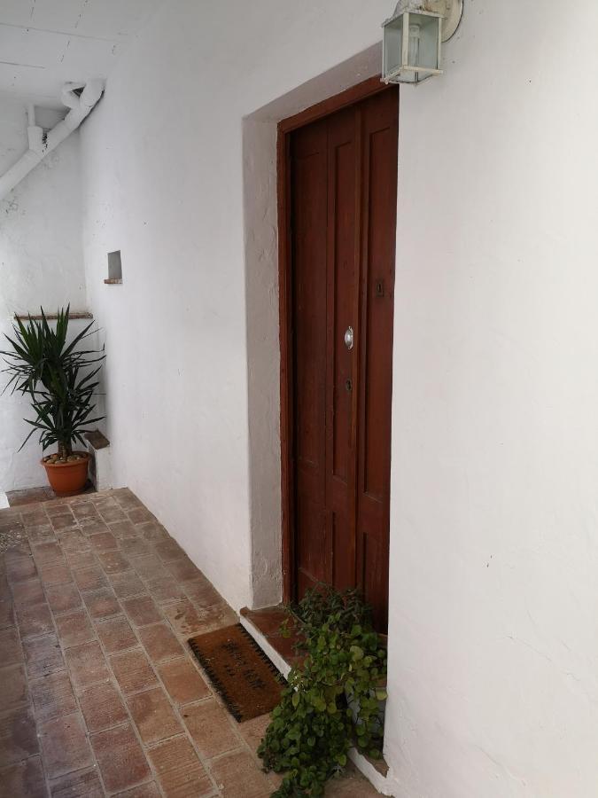 Acogedor Estudio En Casco Antiguo Appartement